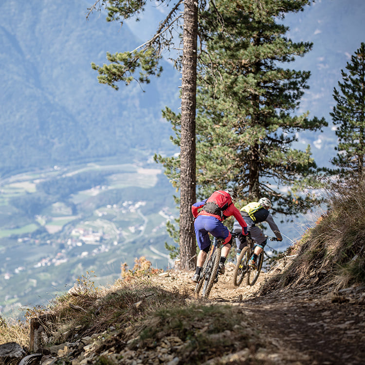 Mountainbikern ist der Brixen Bikepark